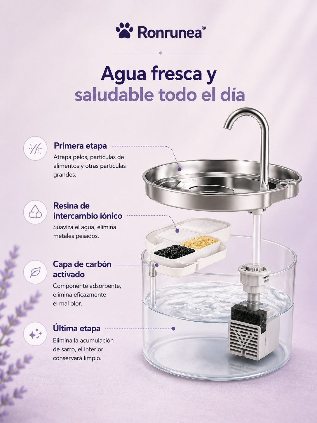 Fuente Automática para Gatos