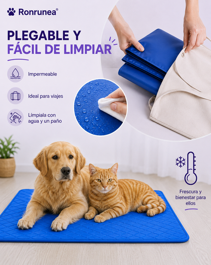 Cama de Enfriamiento